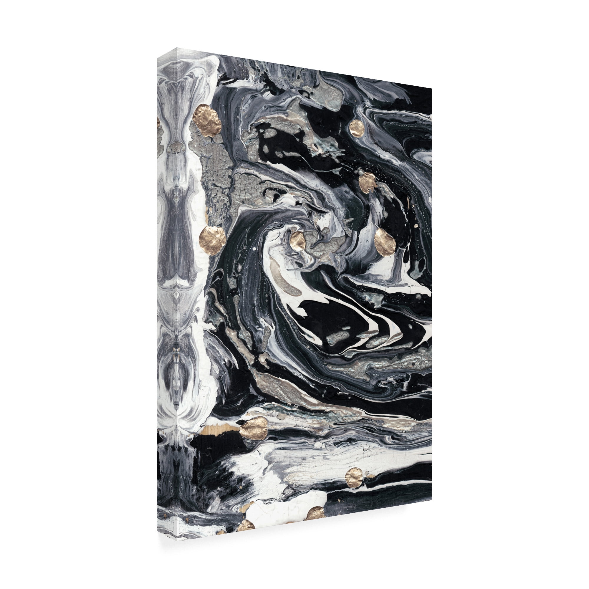 Trademark Fine Art 'Ebony And Ivory I' Canvas Art by Alicia Ludwig