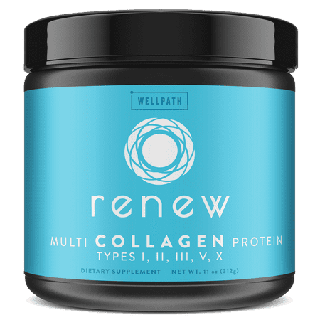 WellPath RENEW Multi Collagen Protein Powder | Types I, II, III, V, X | Premium Ingredients | 40 (Best Protein Supplement 2019)