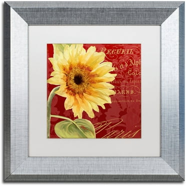 Trademark Fine Art "Ete IV" Canvas Art by Color Bakery White Matte, Silver Frame