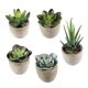 thumbnail image 4 of BESTYASH 5Ud Plantas Suculentas Falsas Para Decorar Y Mesas En Material Plástico, 4 of 6