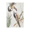 thumbnail image 4 of EREHome Dave Grove BIRDS Tablecloth 60x120 inches, 4 of 4
