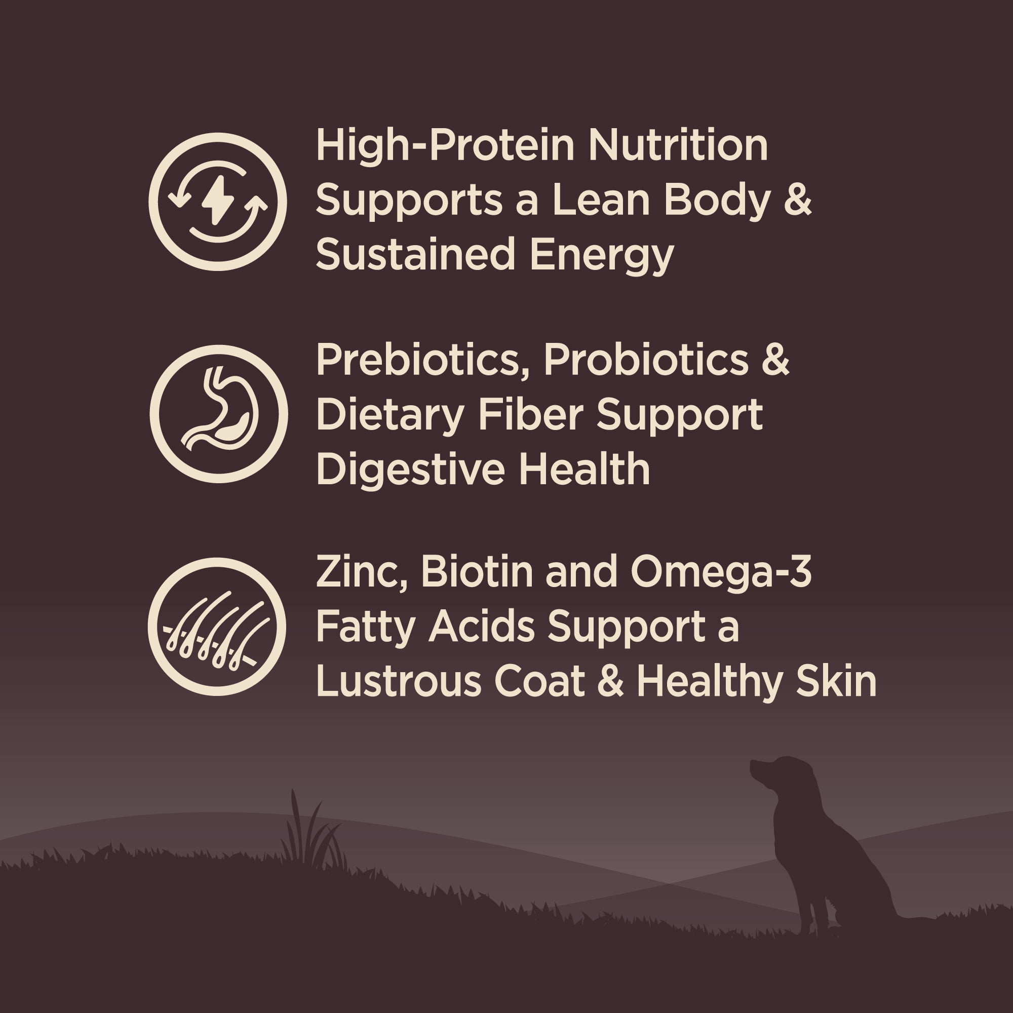 Wellness CORE Dry Dog Food, Grain Free, High Protein, Natural, Lamb Recipe, (22-Pound Bag)