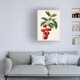 thumbnail image 3 of Vision Studio 'Antique Fruit II' Canvas Art, 3 of 3