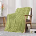 thumbnail image 6 of Throw Blanket Fleece Throw Blanket 50x60in, Green Fruit Pure Color Soft Lightweight Bed Blankets Vintage Linen Fuzzy Couch Blankets for All Season, 6 of 6