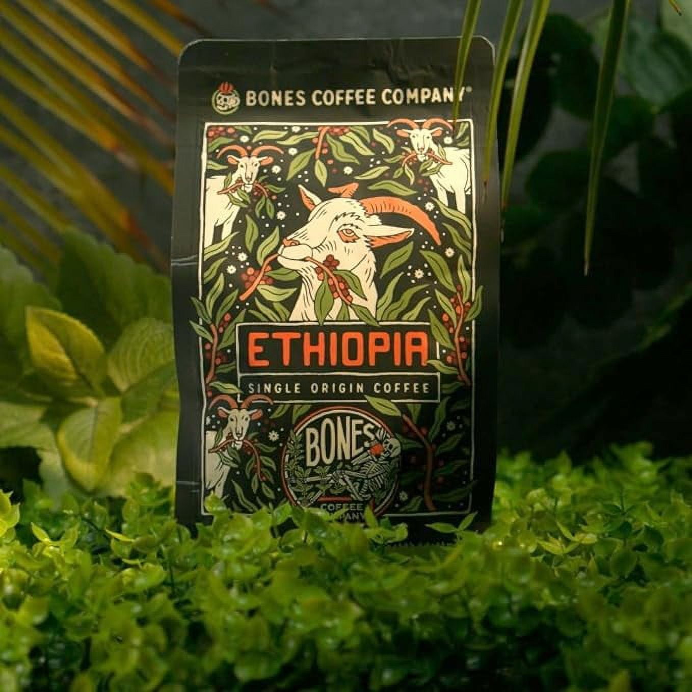Bones Coffee Light Roast Whole Bean Coffee | 12 oz Ethiopia Single-Origin Flavored Coffee