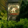 thumbnail image 3 of Bones Coffee Light Roast Whole Bean Coffee | 12 oz Ethiopia Single-Origin Flavored Coffee, 3 of 8