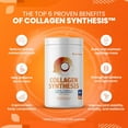thumbnail image 5 of SaltWrap Collagen Synthesis - NSF Certified for Sport Hydrolyzed Collagen Peptides Protein Powder for Joint Health - Fortigel, Tendoforte, Vitamin C, 5 of 8