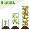thumbnail image 3 of Tomato Trellis, Plastic Coated Steel Pipe, Garden Tie Green Tape, Tomato Cages Plant Stakes for Climbing Vegetables, 3 of 8