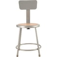 thumbnail image 3 of (Pack of 2) NPS 18" Heavy Duty Steel Stool With Backrest, Grey, 3 of 3