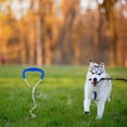 Vecoauto Tie Out Stake for Dogs Secure and Reliable Dog Stakes for