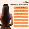 thumbnail image 6 of Mayan's Secret Apricot Kernel Oil 4 oz for Hair, Scalp & Body Care, 6 of 7