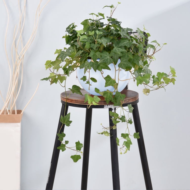 WZXPWT Hanging Basket Planter, Decorative Rattan Hanging Planter with Water  Barrier, Small Size Indoor/Outdoor Hanging Flower Pot, Stylish Planter for  Home and Garden - Walmart.com