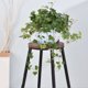 thumbnail image 5 of Maceta colgante para plantas de interior y exterior | Diseño con barrera de agua que previene la pudrición de las raíces | Maceta pequeña de plástico para suculentas, hiedra y rosas verdes, 5 of 6
