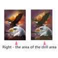 thumbnail image 3 of Labymos Juegos de pintura de diamantes DIY,, 3 of 8