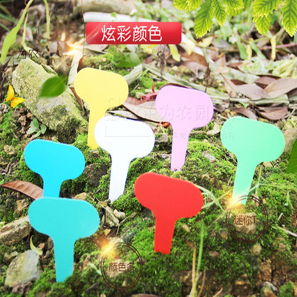 50/100Pcs 5*7cm Plastic Plant T-type Tag Markers Nursery Garden Lawn Labels