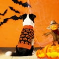 thumbnail image 4 of Sweaters Halloween Pumpkin Sweater For Small Medium Large Pet Clothes for Medium Dogs Female Pet Clothes for Medium Dogs Boys Pet Clothes for Medium Dogs Male Pet Clothes for Small Dogs Pet Clothes, 4 of 6