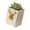 Gold, variant on SDFGTstore Versatile Nordics Deer Planter For Succulents Ideal For Living Room Office