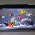 thumbnail image 2 of 6Pack Glass Fish with Bubble, Display Aquarium Float Decoration for Living Space and Workplaces, 2 of 9