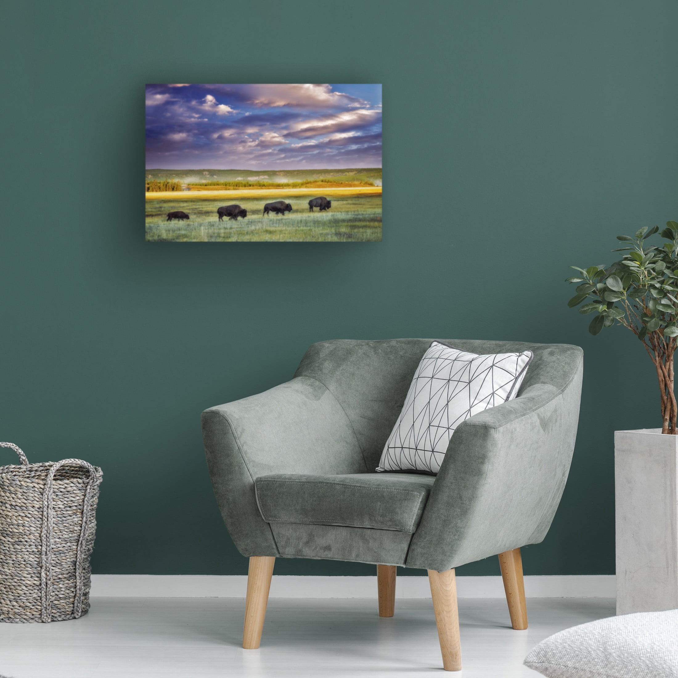 Canvas Wall Art - Dennis Frates 'Buffalo In Field' Wall Art for Living Room, Bedroom, or Office Décor by Trademark Fine Art - 47 x 30 Inches
