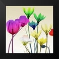 thumbnail image 2 of Koetsier, Albert 20x20 Black Modern Framed Museum Art Print Titled - Floral Calm Pop Mate, 2 of 5