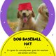 thumbnail image 3 of Gorra de béisbol decorativa con visera para perro cachorro (roja, M), 3 of 7