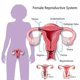 thumbnail image 5 of 5 piezas de ropa interior abdominal de cintura alta y quema de grasa lavable a mano para todas las estaciones FLhrweasw Para estrenar, 5 of 7