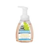 Boardwalk Antibacterial Foam Hand Soap, Fruity, 7.5 Oz Pump Bottle