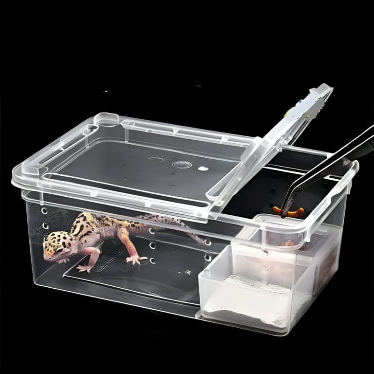 Reptile Feeding Box Plastic Reptile Cage Transparent