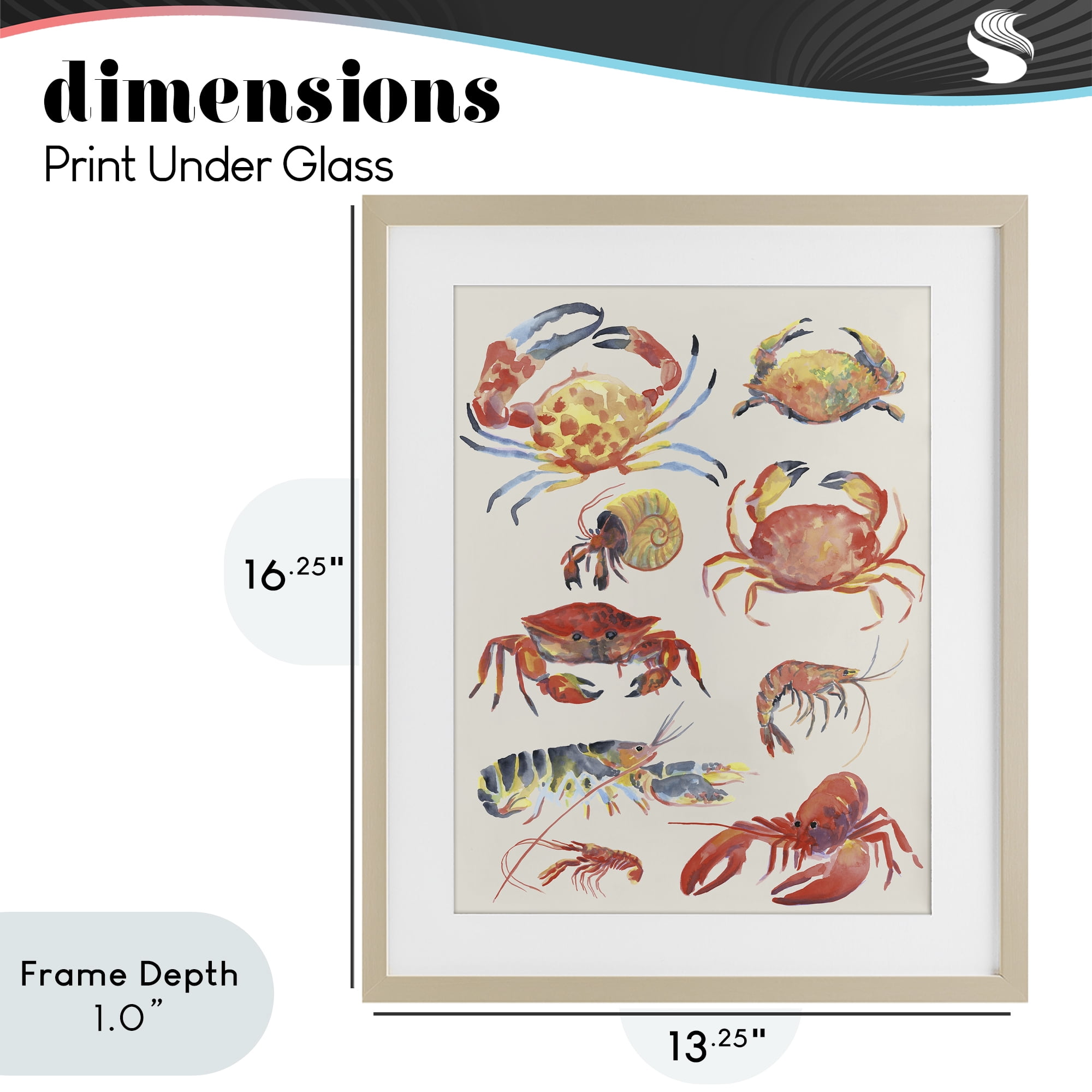 Stupell Industries Nautical Crustacean Collection Birch Framed Print Under Glass, design by June Erica Vess