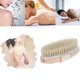 thumbnail image 5 of Cepillo de baño de madera con cerdas naturales - 12 x 6,5 cm, cepillo corporal exfoliante para uso en spa en seco o en húmedo, 5 of 8