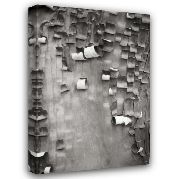 Vitaly Geyman 23x32 Gallery Wrapped Canvas Wall Art Titled - Menzanita Mosaic I