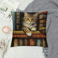 thumbnail image 2 of MLJA  Cat Throw Pillow Cover Funny Cartoon Bookshelf Sleeping Cat Decorative Pillowcase for Sofa and Bed Couch, 2 of 5