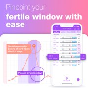 Easy@Home Ovulation & Pregnancy Test Kit: 50 Ovulation Test Strips + 3 Pregnancy Tests + 2 Collapsible Pee Cups for TTC