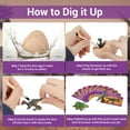 thumbnail image 6 of Piano Potato 12 Unique Dino Egg Dig Kit,  Dinosaur Eggs Excavation Sets,  Dinosaur Toys for Kids, Easter Party Archaeology Paleontology Educational Science STEM Gift for Age 6+ Boys and Girls, 6 of 11