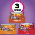 Purina Friskies Gravy Wet Cat Food Variety Pack, Meaty Bits