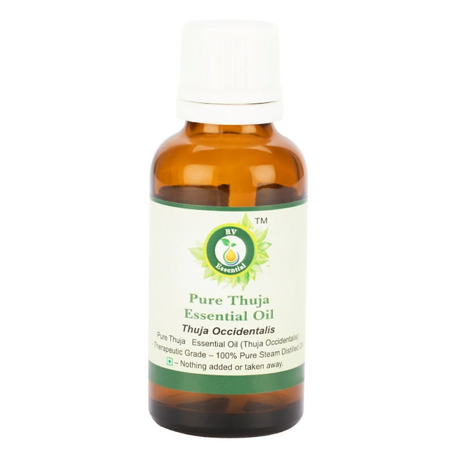 Huile Essentielle Thuja Thuja Occidentalis Non Diluée pour la Peau Pure Naturelle Distillée à la Vapeur Grade Thérapeutique 100ml 3.38oz par R V Essential