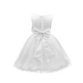 thumbnail image 3 of TiaoBug Kids Flower Girls Lace Floral Maxi Dress Chiffon Wedding Pageant Dress, 3 of 5