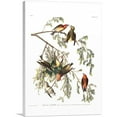 thumbnail image 1 of ARTCANVAS American Crossbill Canvas Art Print by John James Audubon - Size: 40" x 26" (1.50" Deep), 1 of 9