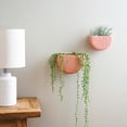thumbnail image 3 of Main + Mesa Stoneware Wall Planters, Set of 2, 3 of 7