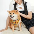 thumbnail image 2 of KLL Diamond Bohemian Sunflower Dog Bandanas,Triangle Reversible Pet Scarf for Small Medium Large and Extra Large Dogs-Small, 2 of 4