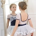 thumbnail image 6 of Hienoo Toddler Girl's Ballet Dance Dress Lace Short Sleeve Leotards with Removable Tutu Skirt, 6 of 7