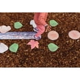thumbnail image 2 of The Freckled Frog Nature's Footsteps - Set of 15 Nature-Inspired Rubber Mats - Ages 3+, 2 of 5