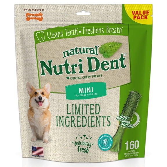 Nylabone Nutri Dent Fresh Breath Flavored Dental Dog Chew Treats Mini (160 Count)