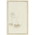 thumbnail image 2 of Robert Jacob Gordon 11x14 Gold Ornate Wood Frame and Double Matted Museum Art Print Titled - Gethyllis Sp. (Kukumakranka) (1777 - 1786), 2 of 4
