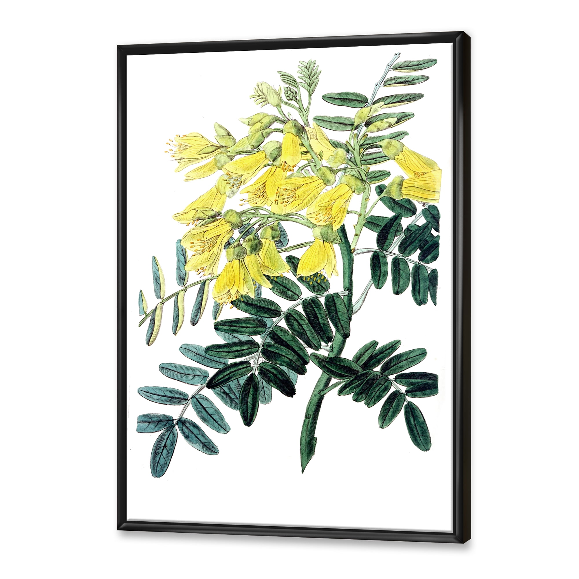 Ancient Yellow Flower II 16 in x 32 in Framed Painting Canvas Art Print, by Designart