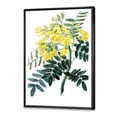 thumbnail image 3 of Designart 'Ancient Yellow Flower II' Traditional Framed Canvas Wall Art Print, 3 of 5