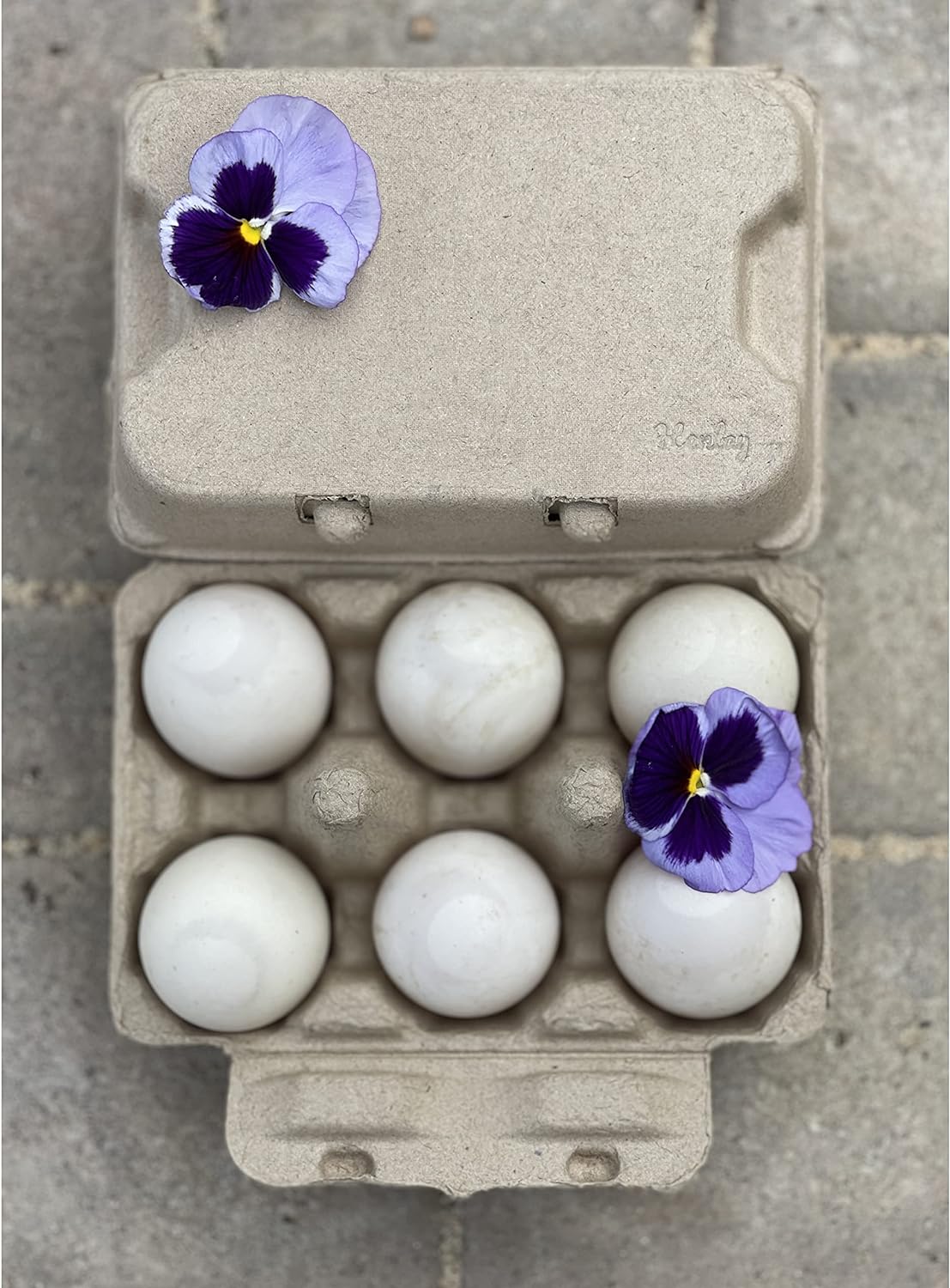 HENLAY Duck Egg Beige Pulp Paper  Dozen Egg Cartons, Reusable 20-Pack