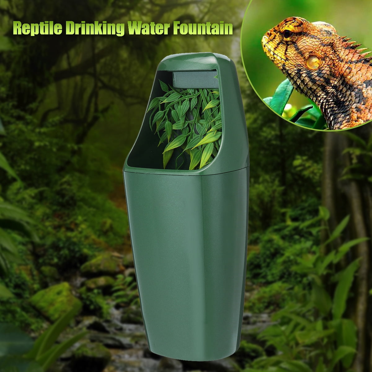 reptile dripper plant