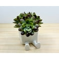 thumbnail image 2 of Clever Contraptions LEGGI Sitting Succulent & Cactus Planter Pot – Small, 2 of 10