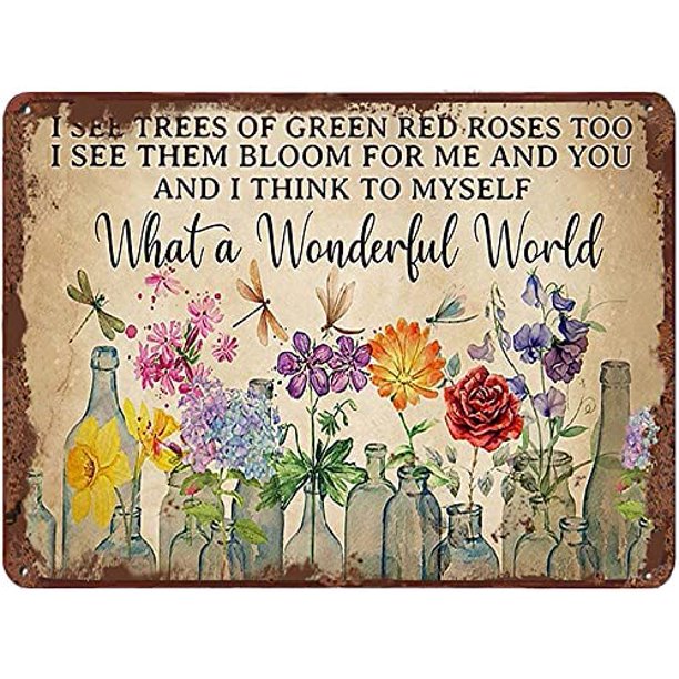Dragonfly What A Wonderful World Flowers Funny Metal Tin Sign Wall